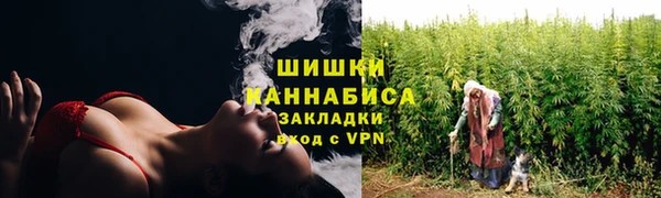 тгк Лиски
