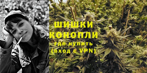 винт Липки