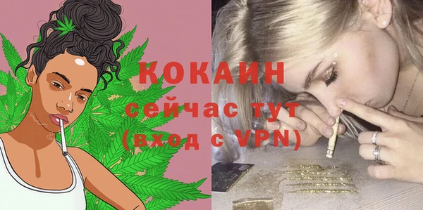 винт Липки