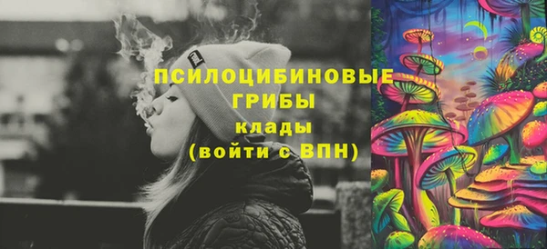 винт Липки
