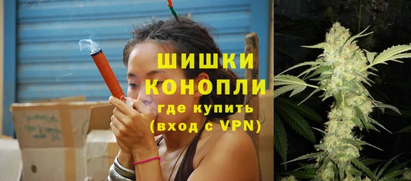 тгк Лиски