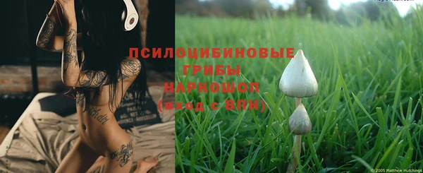 винт Липки
