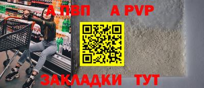 гашик Кимры