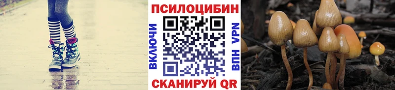 где купить наркотик  Учалы  hydra   Псилоцибиновые грибы Cubensis 