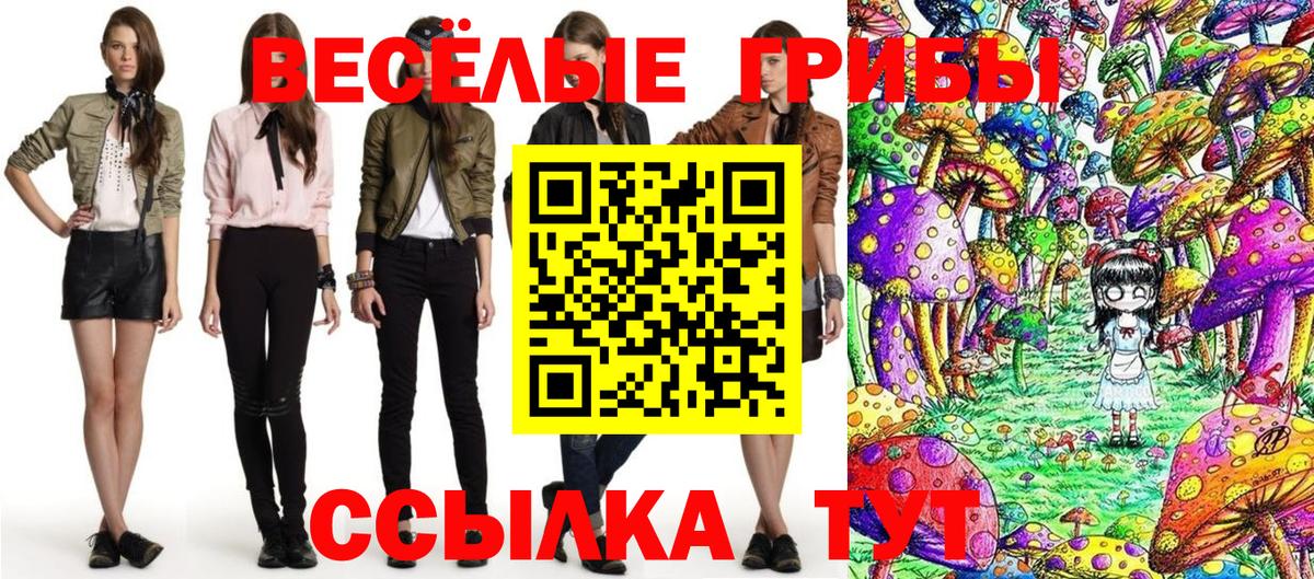 Псилоцибиновые грибы Psilocybe  цена   Учалы 