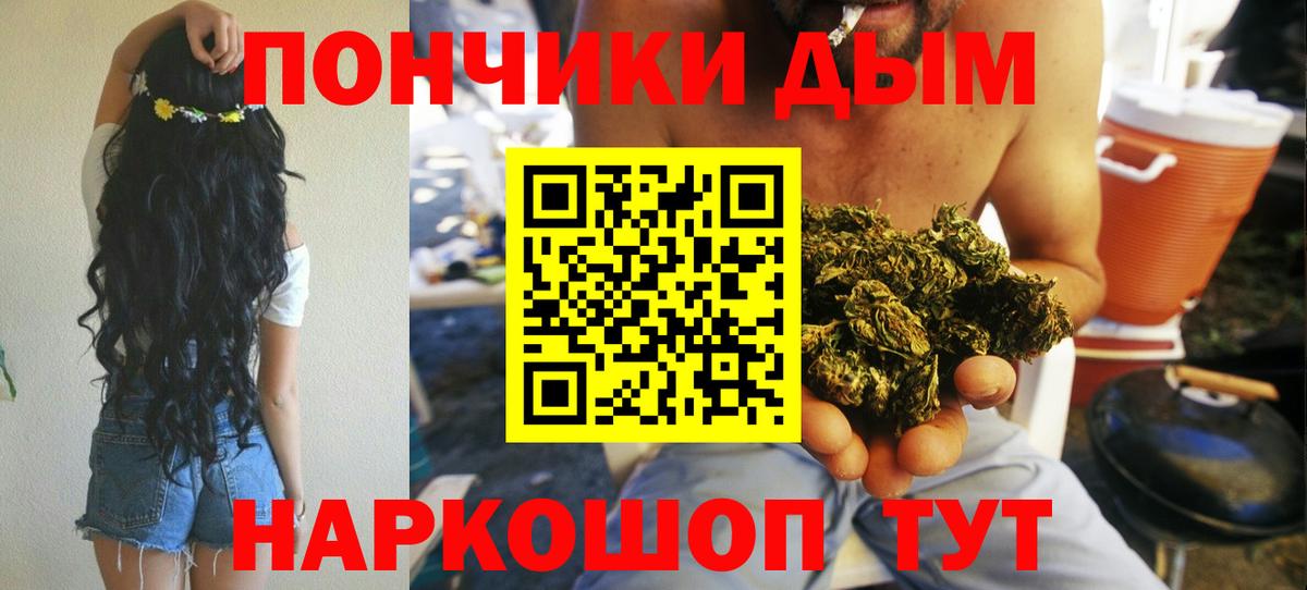 Каннабис OG Kush  Каннабис планчик  Шишки марихуана планчик  Учалы 